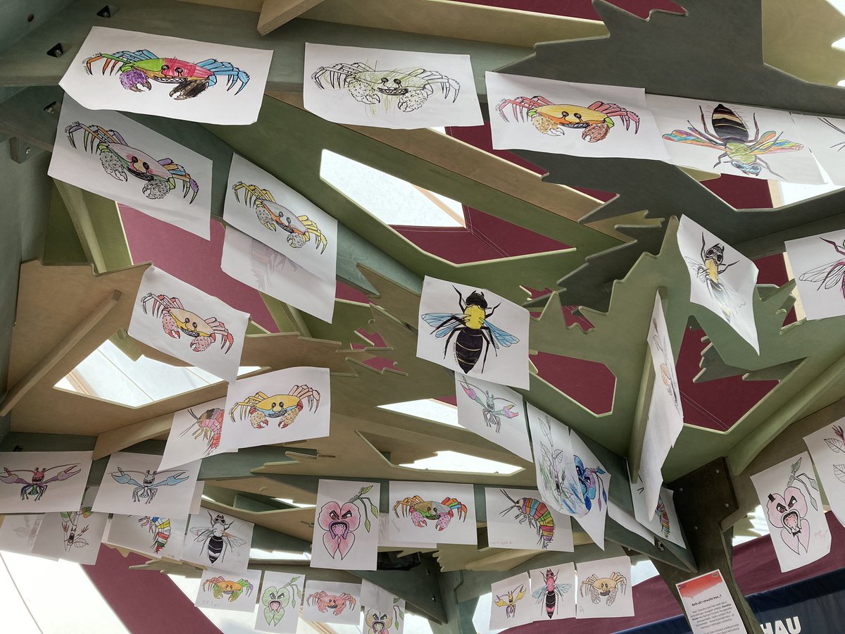 TomosJones92's tweet photo. Diwrnod olaf #YmledwyrEcosystem yn @PafGwyddoniaeth #steddfod22! Dros 1,250 wedi ymuno yn yr hwyl a dysgu am rhywogaethau ymledol π A llwyth o liwio! Dewch draw atom a #SefyllDrosNaturCymru a @OBrightFuture ππ #EcosystemInvaders #SciComm #PublicEngagement https://t.co/Va65bTmOdz