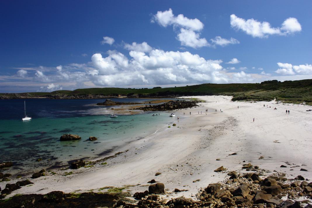 Peter Akrill tweet media