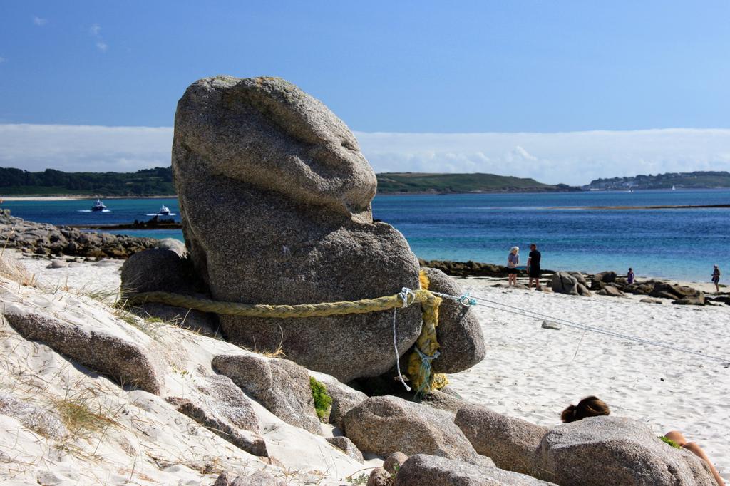 Peter Akrill tweet media