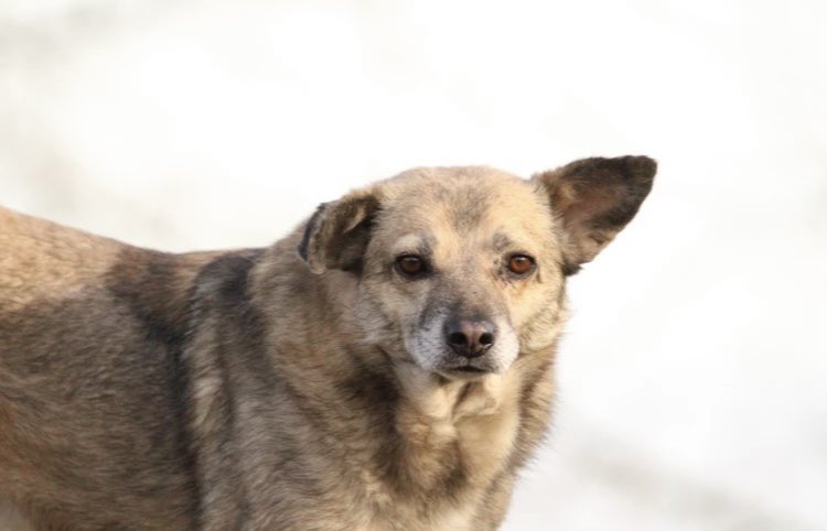 OMG OMG OMG. After 8 years of waiting….. Chris is finally going to his first ever HOME tomorrow!!!!!! 😭😭😭😭😭🙏🙏🙏🙏😭