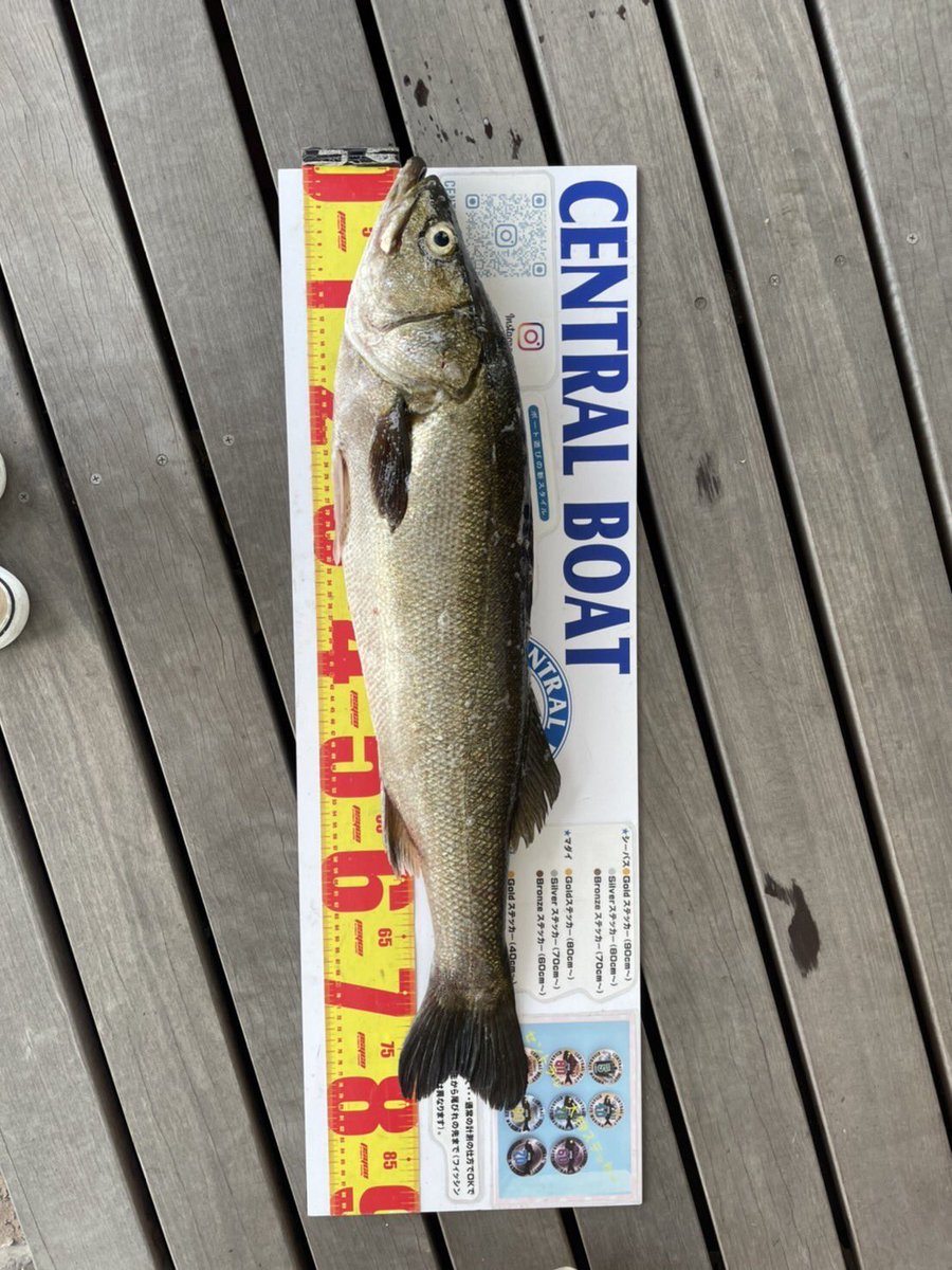 centralboat2091 tweet picture