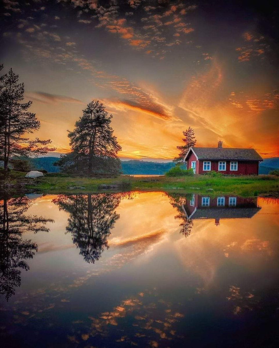 Live life with peace and love ❤❤