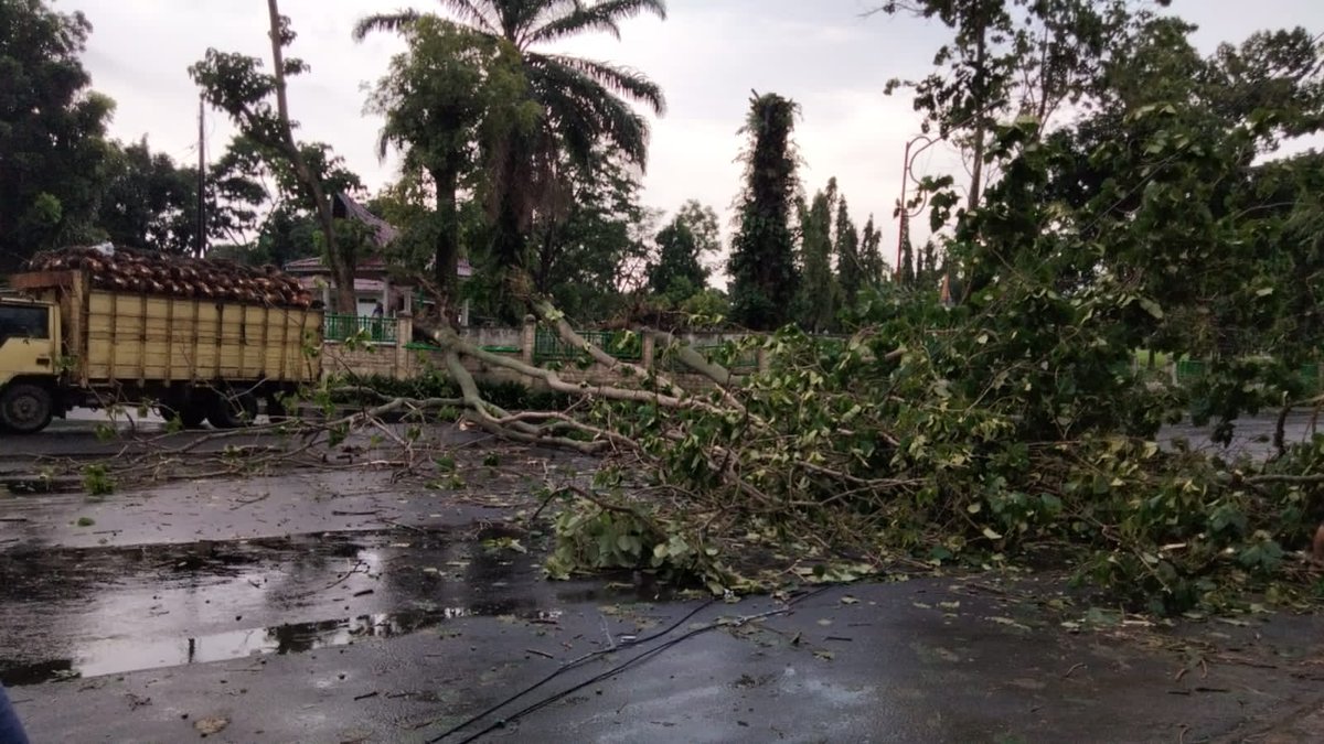 JonRoi's tweet photo. Kota Siantar dihantam angin kencang, akibatnya pohon di sekitaran makam pahlawan tumbang. 

#AnginKencang
#KotaSiantar https://t.co/hqoESvJZAA