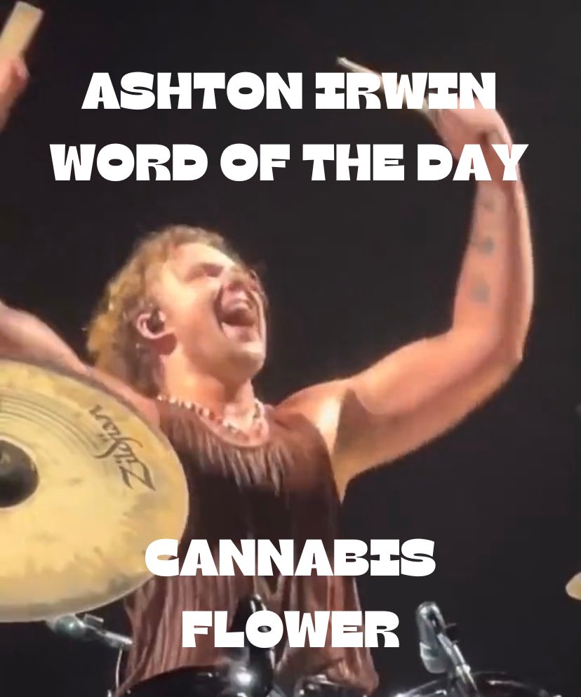 IRWINWORDS's tweet photo. Ashton Irwin Word of the Day: cannabis flower https://t.co/Aylh1aBM4Q