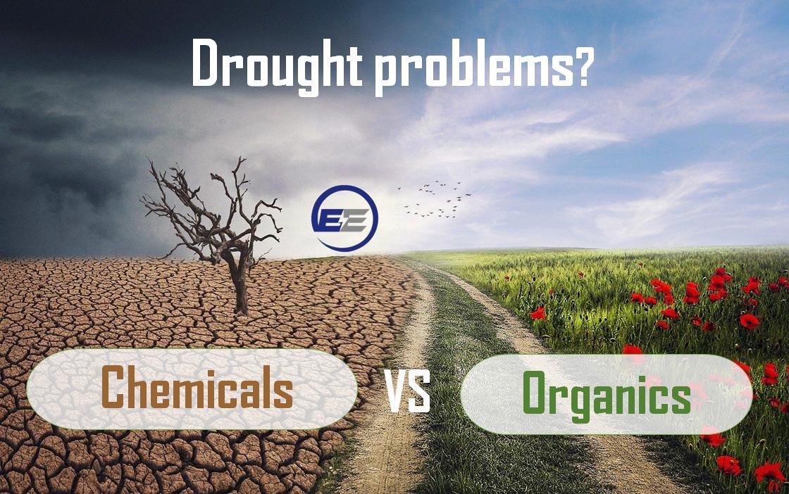 boikanyogroup's tweet photo. How mitigates the droughts problems in agricolture? #pyroligneousacid #woodvinegar #organicfertilizer 
#energyempowerment #boikanyo #boikanyogroup #thegreenisback #zamaco #welights #greentechnology #boikanyolifecare #agrifood #agribusiness #agritech #agriculture #agroindustria https://t.co/9LKmBaAsln