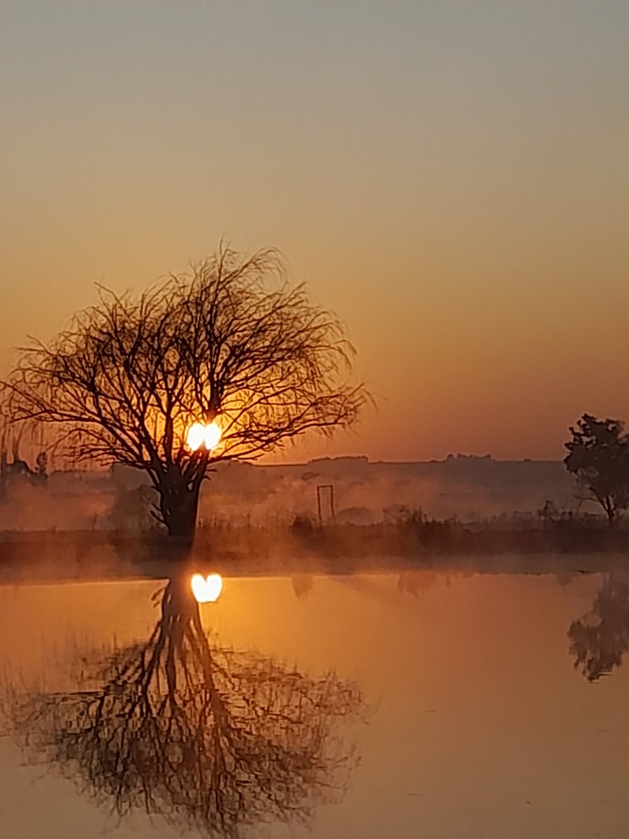 MikeBro101's tweet photo. Arise with the sun, my son. https://t.co/g1gkejL0Zp