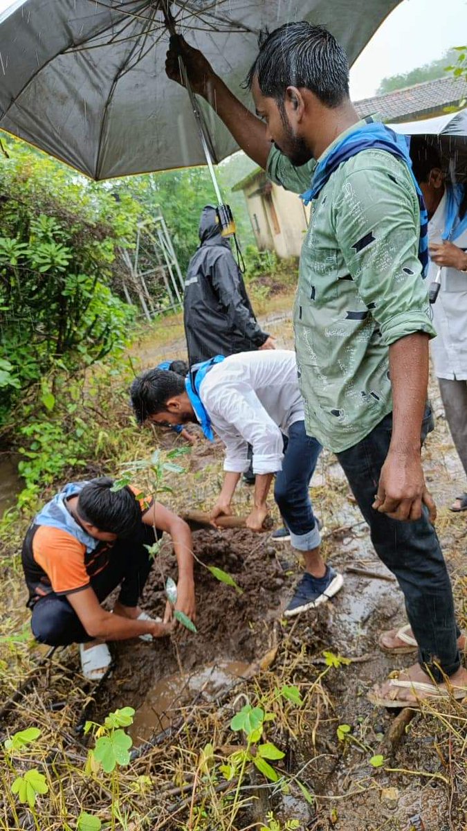 sssso_mah_goa's tweet photo. 🕉Sri Sai Ram
With grace of #SriSathyaSai, tree plantation seva carried by Youth Wing of Palghar District on 24th Jul 22 of 211 tree Saplings
@sssso_india
@saiyoungmessengers
#SSSSOIndia #SSSSOMMR #trees #plantation #sapling #boisar #khardi #virar #miraroad #saphala #palghar https://t.co/aZK2D5LR6L