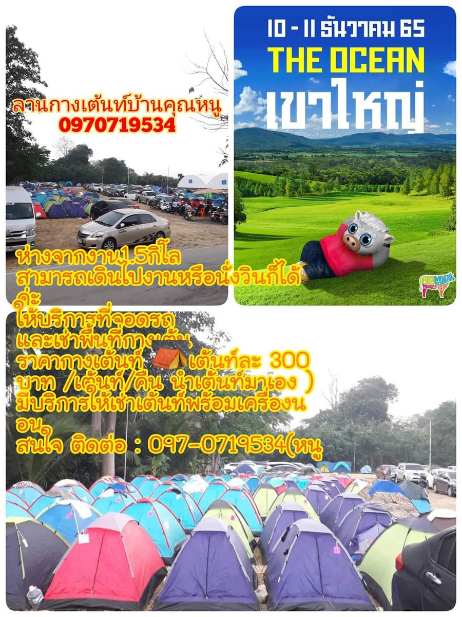 tippawan89's tweet photo. #ลานกางเต้นท์บ้านคุณหนู
#bigmountain12
#ลานกางเต้นท์ #ปากช่อง
FB:Noo tippawan 
Tel..097-0719534 
Line:tippawan..noo https://t.co/uFwtwt3F3F