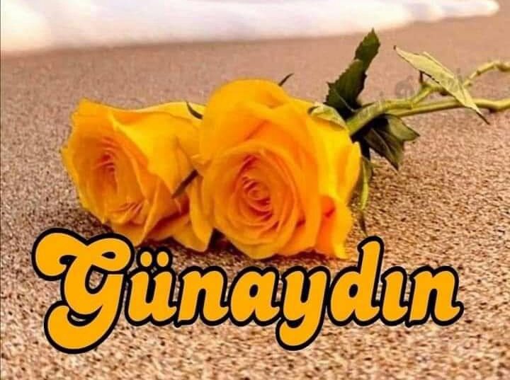 NilgnTT1's tweet photo. @Sava79459823 https://t.co/RQ1zdurGrG