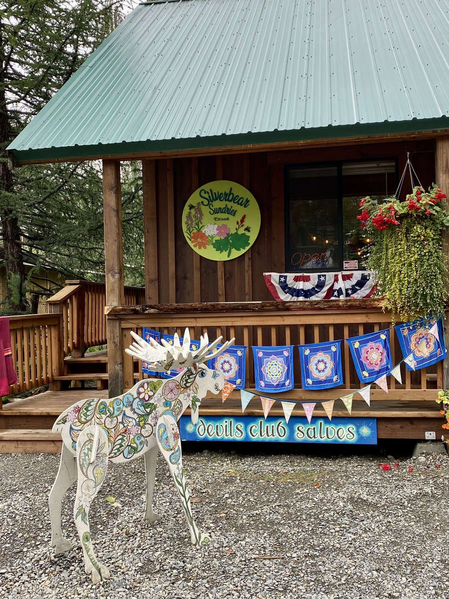 TheVanEscape1's tweet photo. On your way to @DenaliNPS don't miss #Talkeetna and the best #spinachBread :)
#Alaska #TravelAlaska @TravelAlaska #RoadTrip #VisitAlaska #Denali https://t.co/nLvCu4mXFN