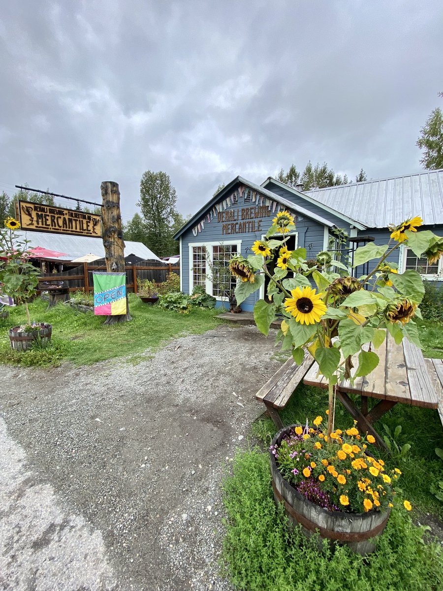 TheVanEscape1's tweet photo. On your way to @DenaliNPS don't miss #Talkeetna and the best #spinachBread :)
#Alaska #TravelAlaska @TravelAlaska #RoadTrip #VisitAlaska #Denali https://t.co/nLvCu4mXFN