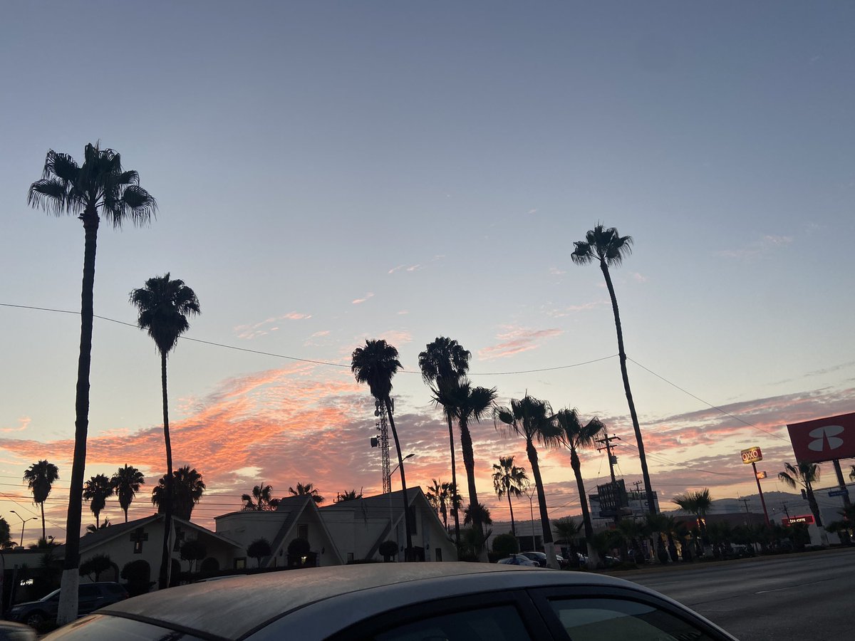 Tu_tia_Annette's tweet photo. Sentí que el universo me pintó este atardecer solo para mi, lo sentí como un beso en la mejilla, como un abrazo de aprobación de mis padres, como un té amo sincero. https://t.co/I5cFBgTm7q
