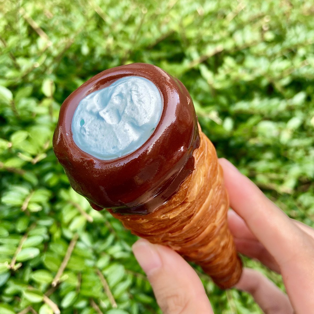 みんなの アンジュ コロネ 口コミ 評判 食べたいランチ 夜ごはんがきっと見つかる ナウティスイーツ