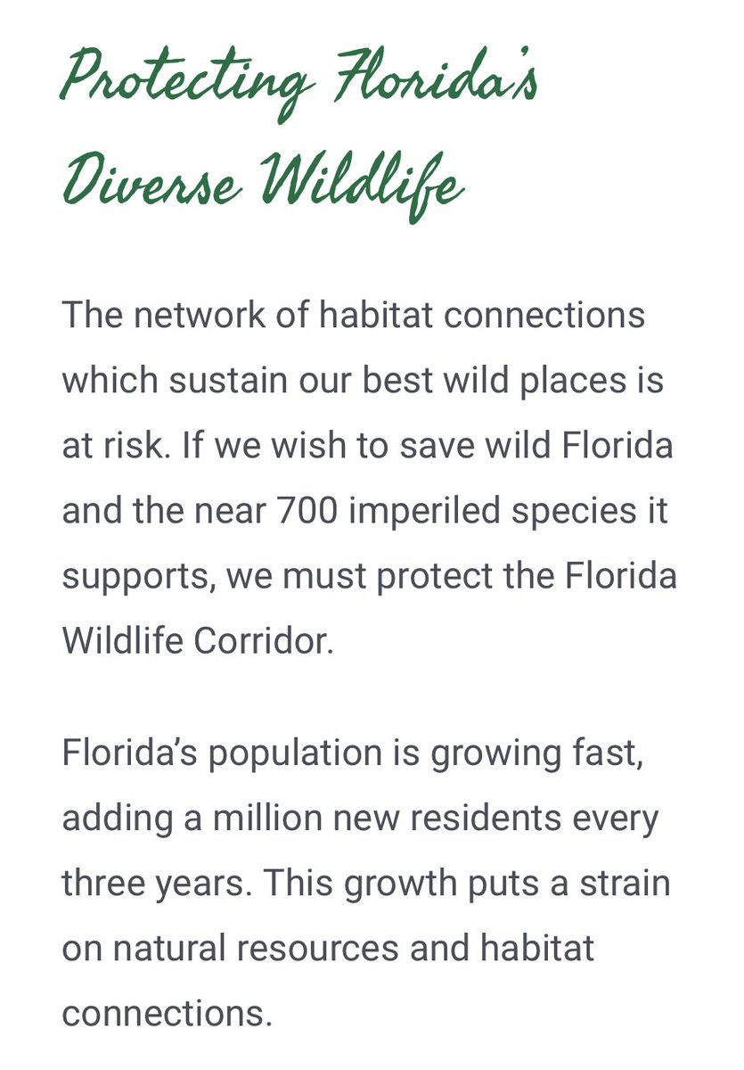 NFT Club Manny 🦭🦪 (@oysterboys941) on Twitter photo 