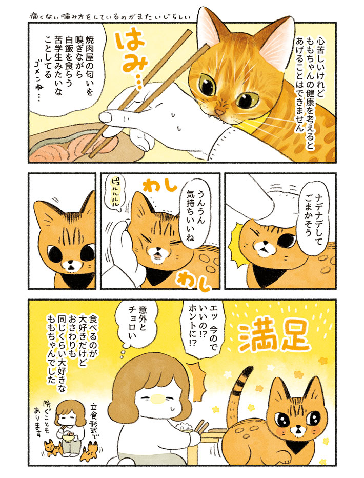 「こんなにおとなしい顔をしてるけど…」 愛猫のハングリー精神に飼い主も驚き! https://t.co/P1aym1N3Vt @grapeejpより 
