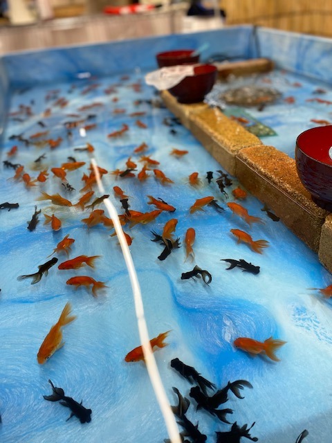 ガーデンセンター富里店】 号外！！ 夏を楽しもう企画開催中('ω')ノ 8