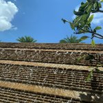 ツイートに含まれる画像