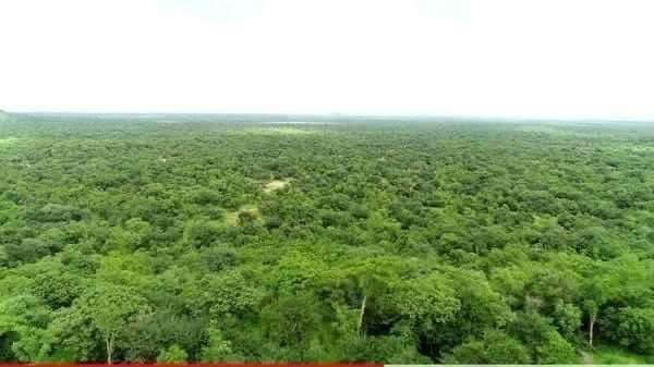 menbimar's tweet photo. #Altash National park, North Gonder zone, Ethiopia #አልጣሽ ፓርክ https://t.co/Sx7aRFz8JD
