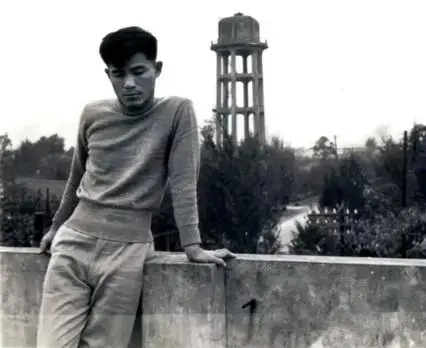 Authority tweet media