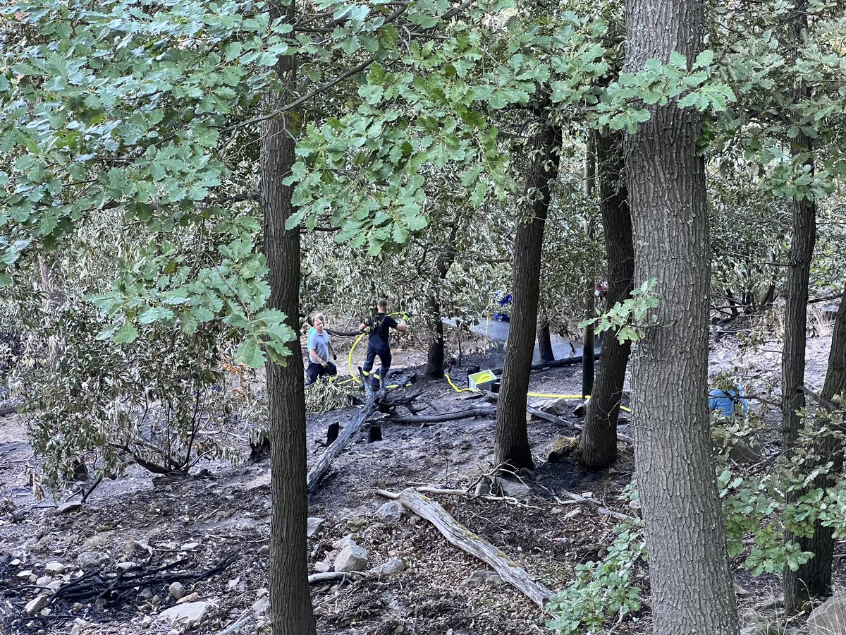 FeuerwehrNW's tweet photo. Aktuell befinden wir uns erneut im Einsatz im Bereich des Hambacher Schlosses, es wird nachberichtet. https://t.co/ESSl2vJO3b
