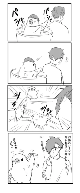 🛀♨︎ #文鳥 