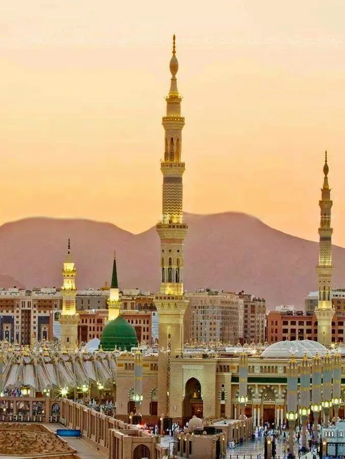 جامعة تعلیم اللغة العربیة للبنات tweet media