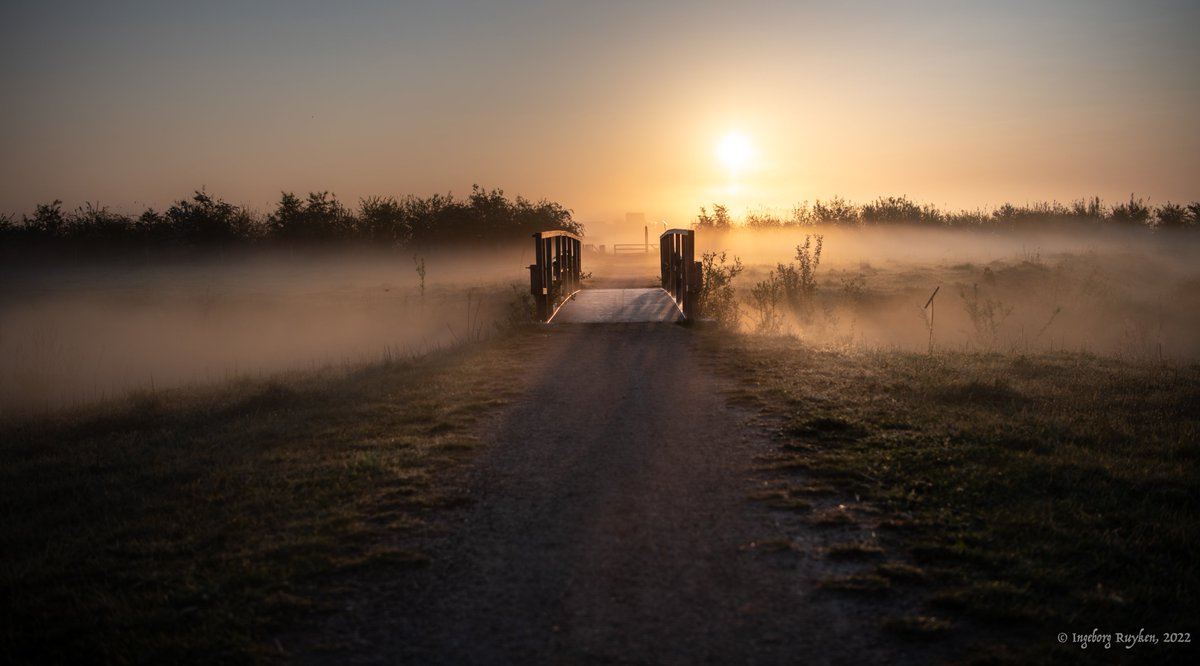 Ingeborg Ruyken tweet media