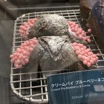 実際に見ても想定以上に卵!スタバのクリームパイブルーベリー＆ココア!