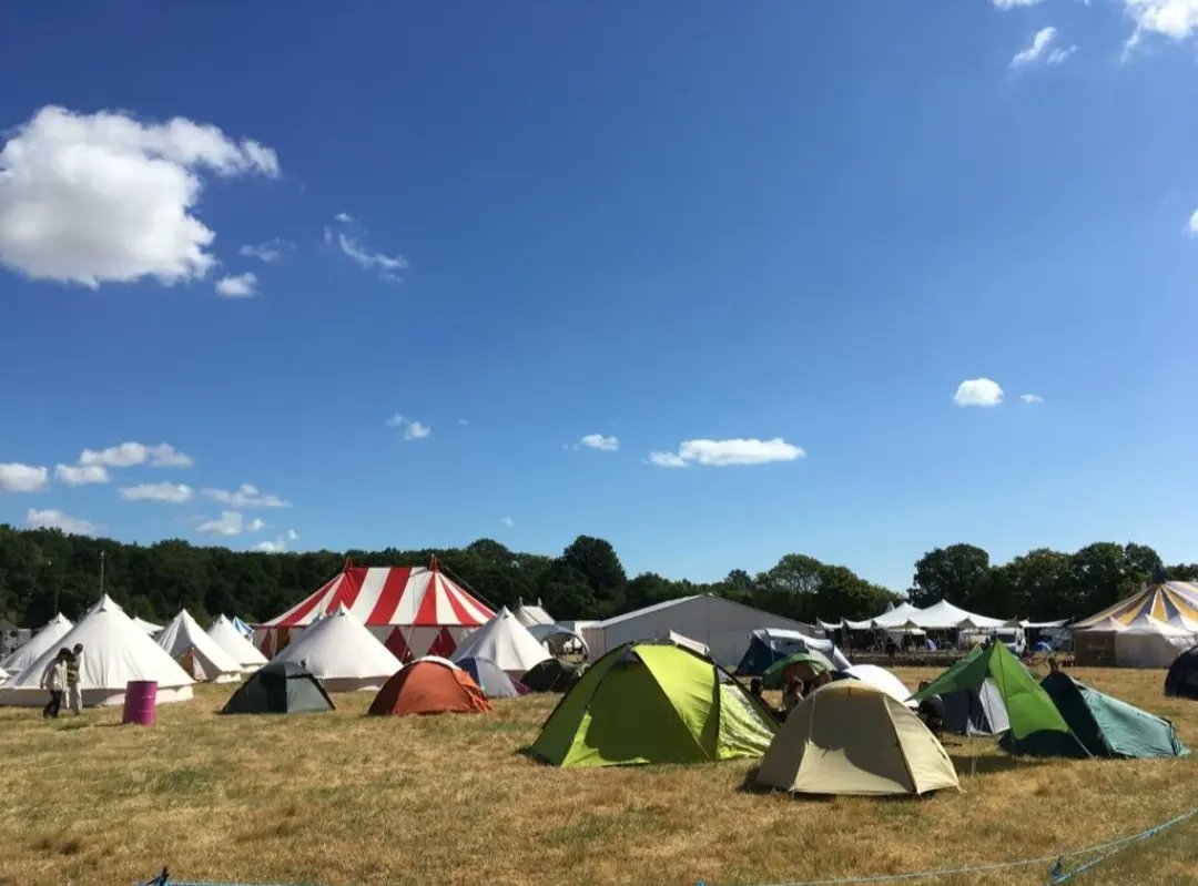 Summerhill Festival of Childhood 2022 tweet media