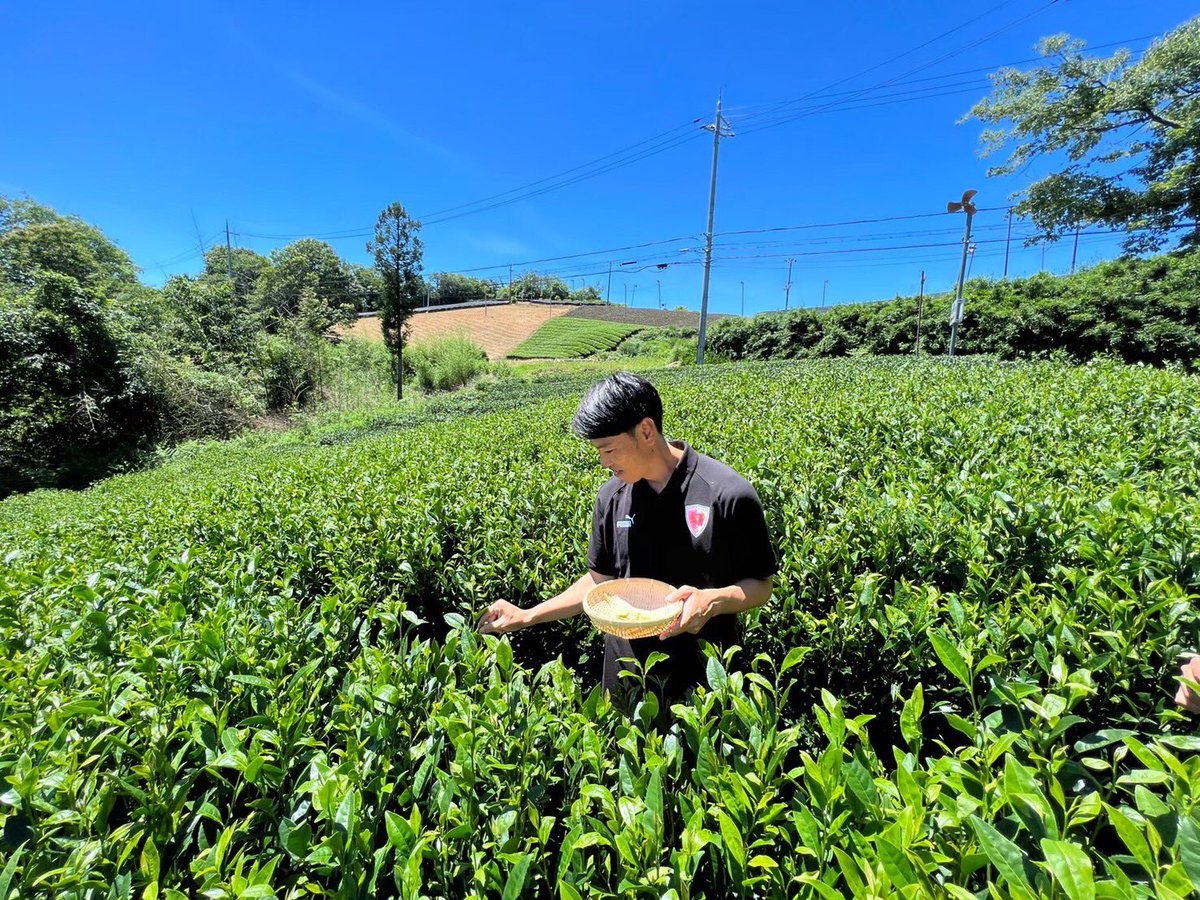 jun__ando's tweet image. サンガタイムズ8月号に #お茶の京都 の取材記事が掲載されています🟣

サンガタイムズはJR線の駅などで配布中ですので、是非チェックしてください👍

京都府で唯一の村✨たっぷり満喫してきました‼️‼️
#京都サンガ #みんな輝け #南山城村