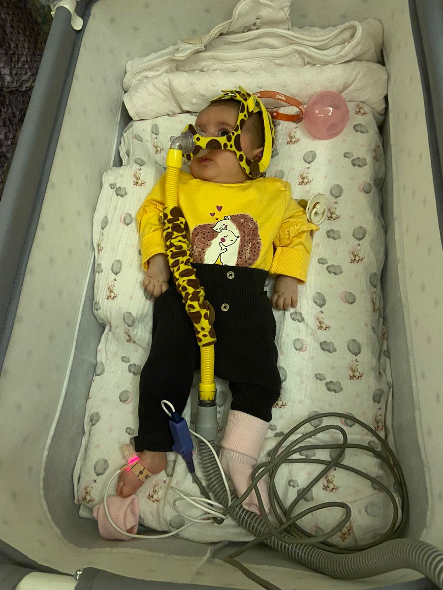 Bir çocuk, belki de sizin çok küçük bir desteğinizle hayata tutunacak, Esirger miydiniz? Elif Sare'nn yaşamak için tek çaresi ve umudu sizsiniz
Az çok demeden destek olup, LÜTFEN PAYLAŞIN🙏🏻
#AklındaysaKapında #TikTok Oğuzhan Uğur #KöpekleriToplayın #deprem Uçak Ronaldo Ruble #BTC