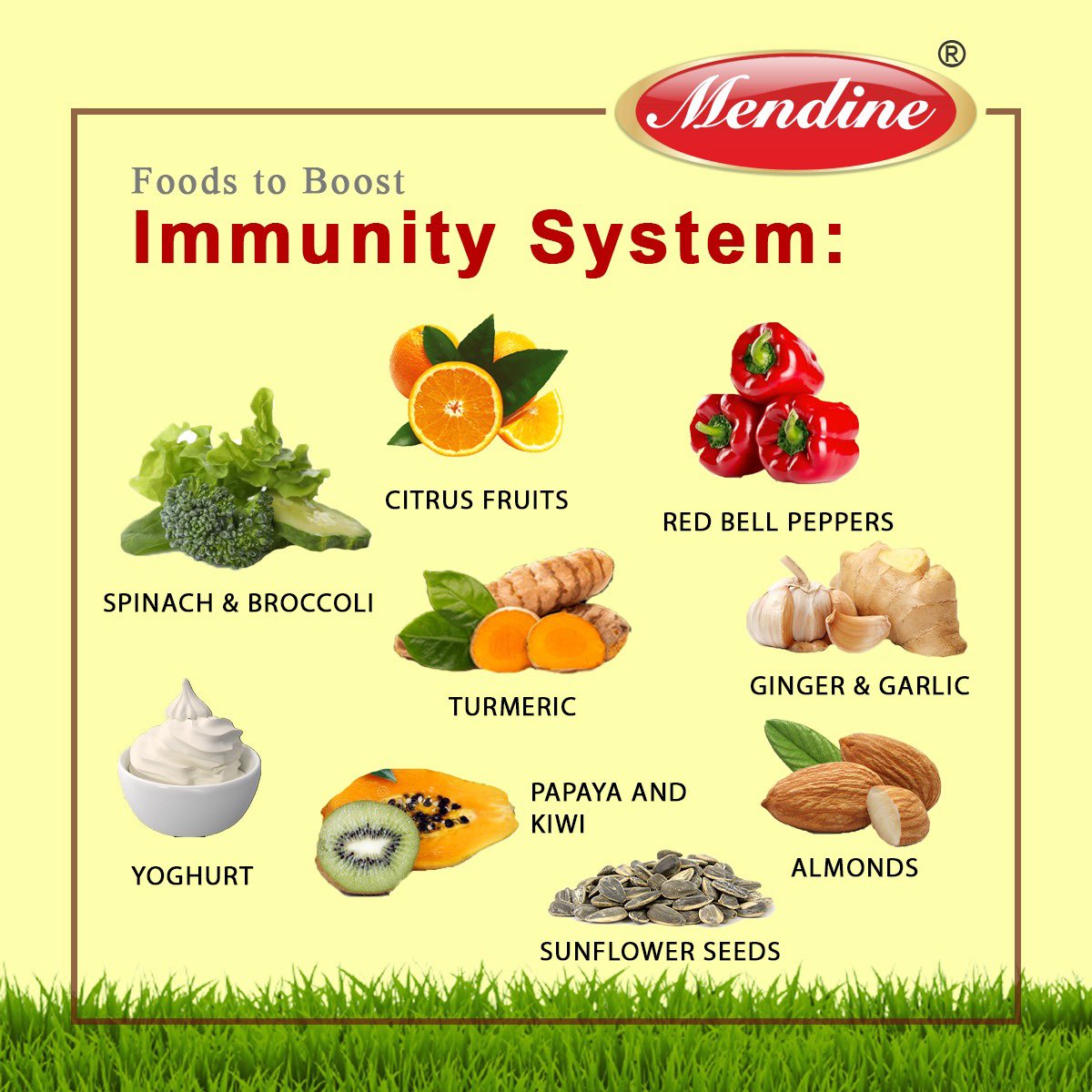 MendineOfficial's tweet photo. Eating right and healthy is the key to proper nutrition. Include some powerful immune system boosting foods in to your meal and keep the cold, flu and other infections at bay! Eat healthy to live healthy!
#immunity #immunityboostingfoods #nutrition #stayhealthy #Mendine https://t.co/UUcBqAb6xF