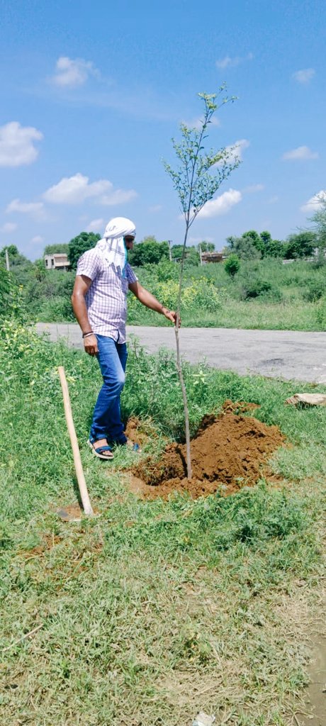 YJakhar's tweet photo. अंतर्राष्ट्रीय पारिवारिक वानिकी दिवस का हरित प्रणाम। 🌱🌳🌴🌳🌳
#अंतर्राष्ट्रीय_पारिवारिक_वानिकी_दिवस
#मेरा_पेड़_मेरी_पहचान #हमारा_हरित_सदस्य 
#पारिवारिक_वानिकी #FamilialForestry
#InternationalFamilialForestryDay 
#MyTreeMyIdentity @TreeManOfDesert @TreeManOfDesert https://t.co/3G8mG7JafB