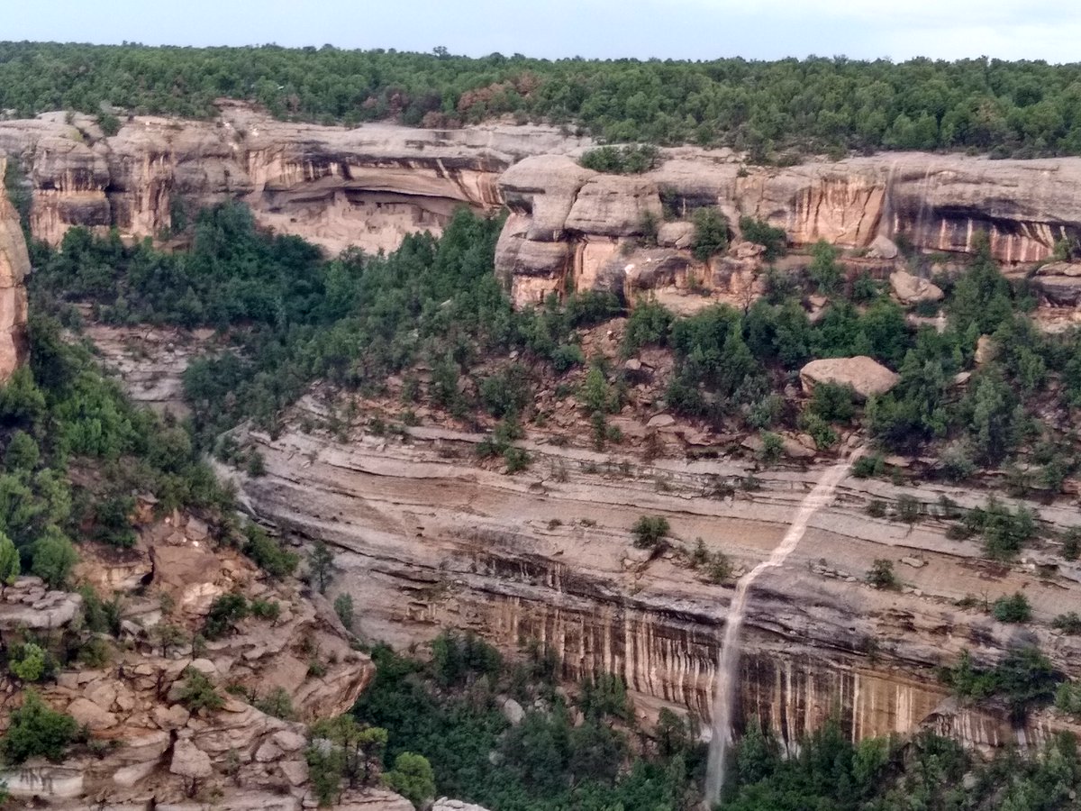 Holly Moeller, @mixotrophe at other places too tweet media