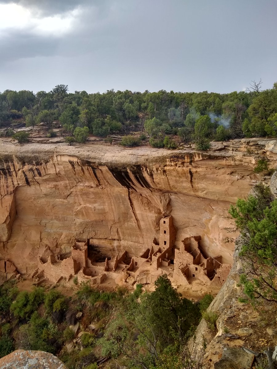 Holly Moeller, @mixotrophe at other places too tweet media