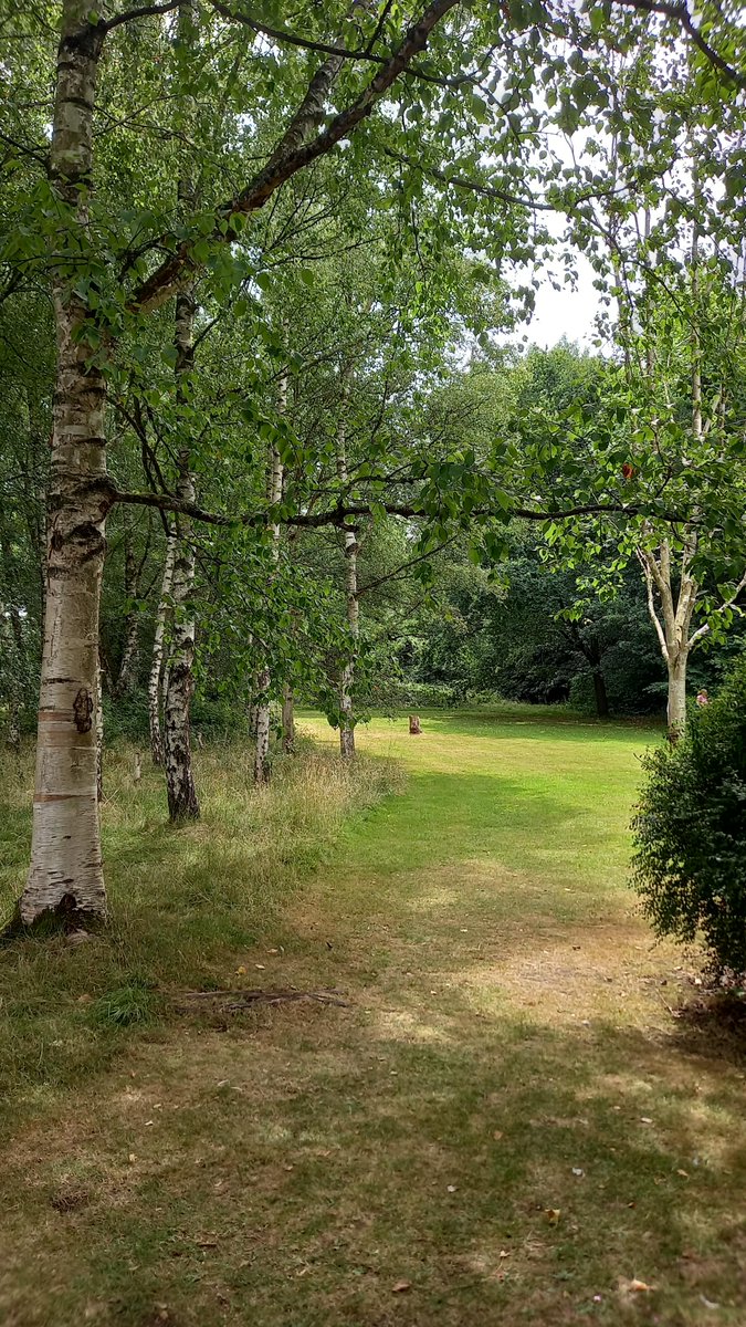 StockwoodDC's tweet image. Join us today to enjoy family-friendly storytelling, adventures with puppets, games in the garden, magical trees and busy bees.

📆 Sat 06 August, Sat 20 August &amp;amp; Sat 03 September
🕚 11am - 3pm
👉 ow.ly/RrzH50Kakw5

📸By T. Young / G. Zabulyte

#family #thingstodoinluton