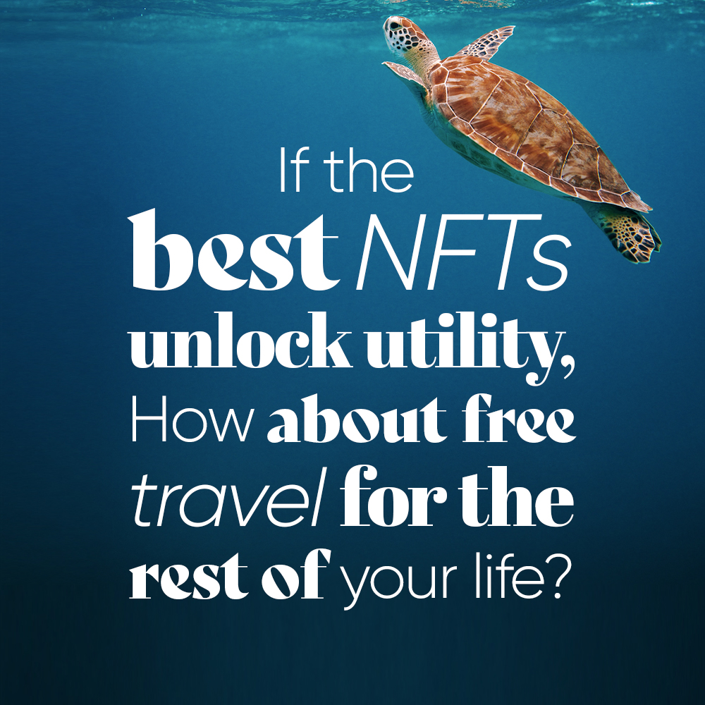 My African Dream Travel tweet media