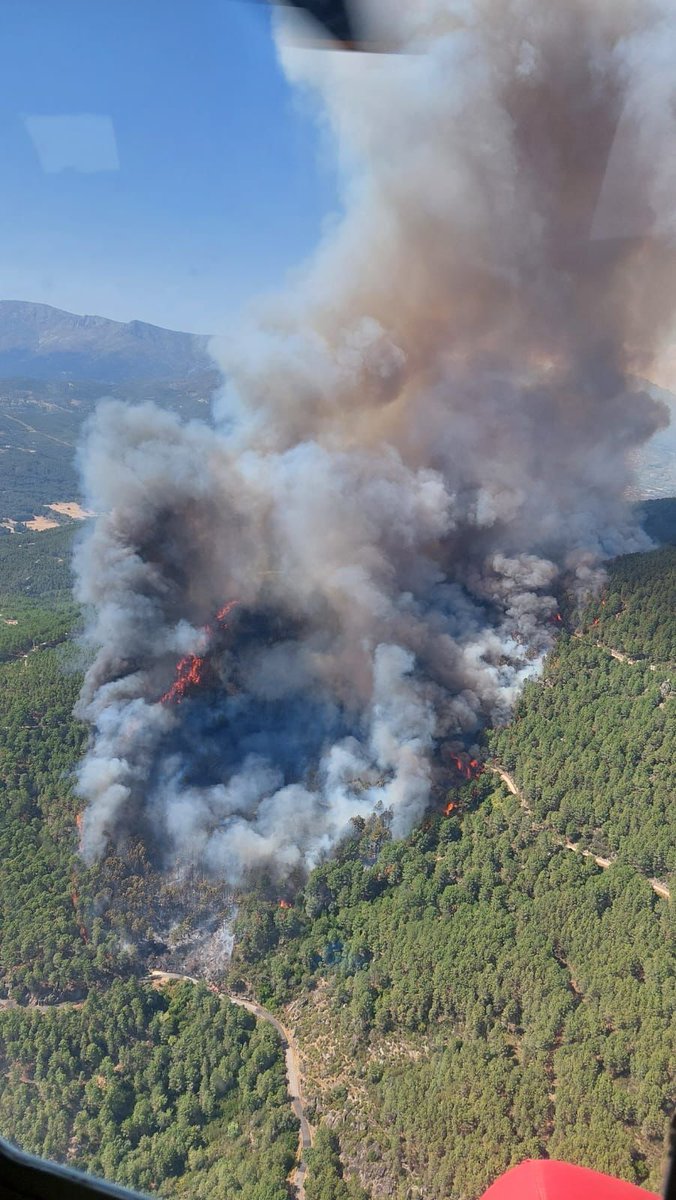 Cristina 🌿 tweet media