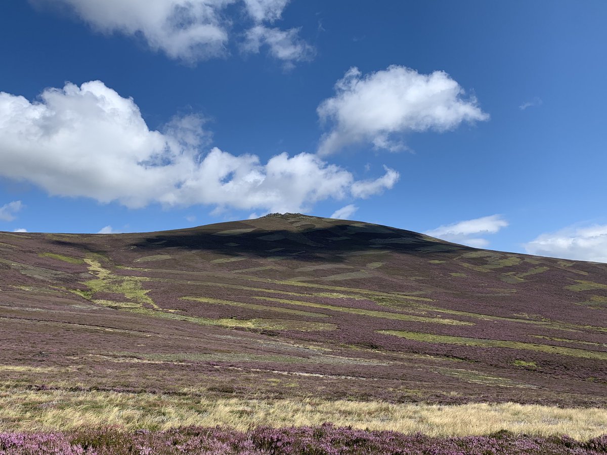 DMK_17's tweet photo. A wander up Creag an Sgor and Glenbuchat yesterday - didnβt see a soul #strathdon #hills #outdoors #goodtobeout https://t.co/BaQY1pRZcI