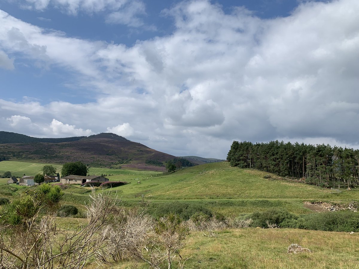 DMK_17's tweet photo. A wander up Creag an Sgor and Glenbuchat yesterday - didnβt see a soul #strathdon #hills #outdoors #goodtobeout https://t.co/BaQY1pRZcI