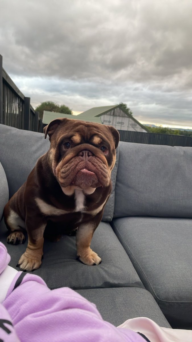 time fly's 🫣 🐾