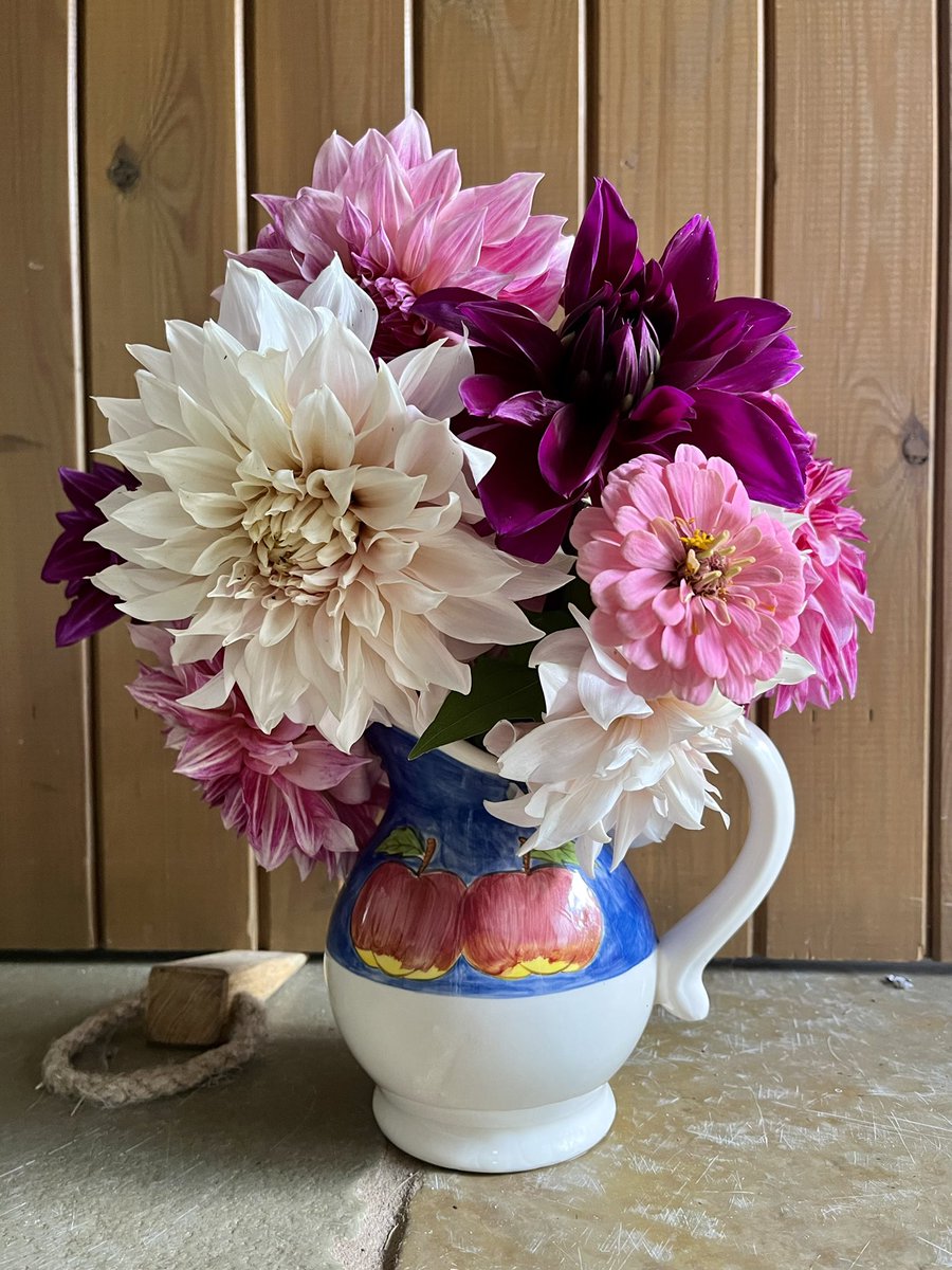 FrankieDev's tweet photo. Week 32 - and finally we have dahlias! #somethinginavase https://t.co/lBxzJv4gk0