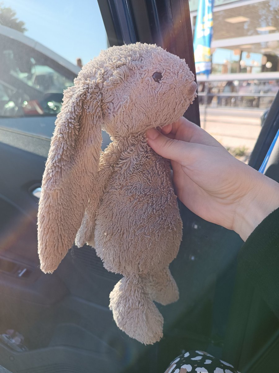 Merci d'aider un petit enfant qui a perdu son lapin sur l'aire du Mont de Nizy sur l'A26 sens Calais > Reims station Avia.
#TwitterMiracle 
Je l'ai pris, je l'enverrai si on retrouve le petit propriétaire 🤞🏻🤲🏻🙏🏻 me contacter MP. #RouteDesVacances
