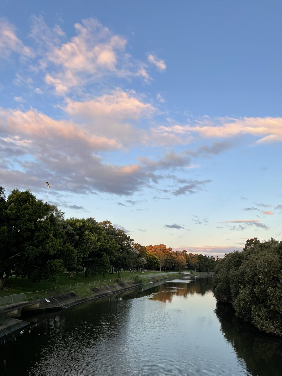 mello444's tweet image. Evening in the ‘hood