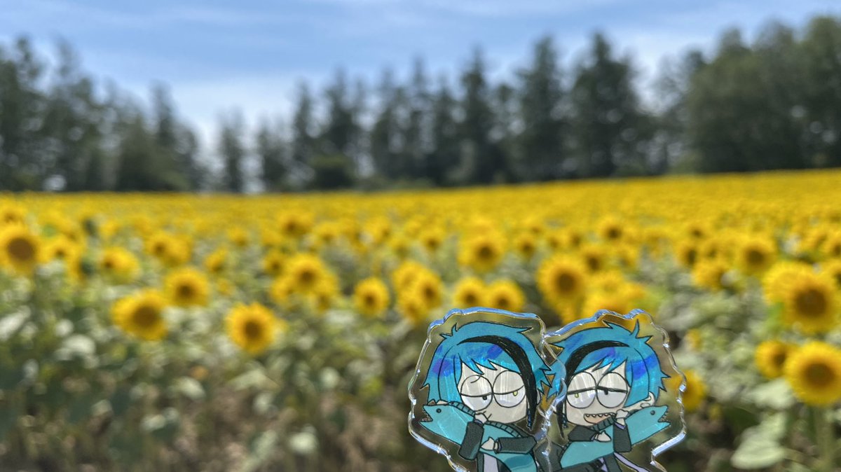 午後は花畑、六花亭、メッゾの撮影地っぽいラベンダー畑に行ってきた! 