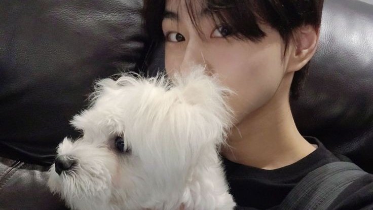 i just know that layla and maeumi are the luckiest dogs to have caring and loving owners like jake and jungwon 🥹