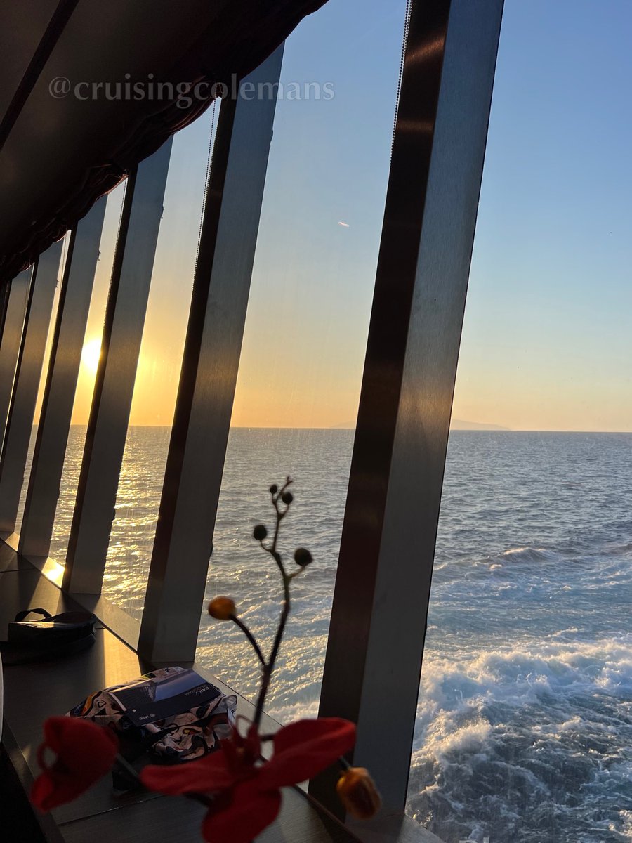 Dinner with a view! When people ask what we love about cruising - this is it

#msccruises #cruise #dinnerwithaview