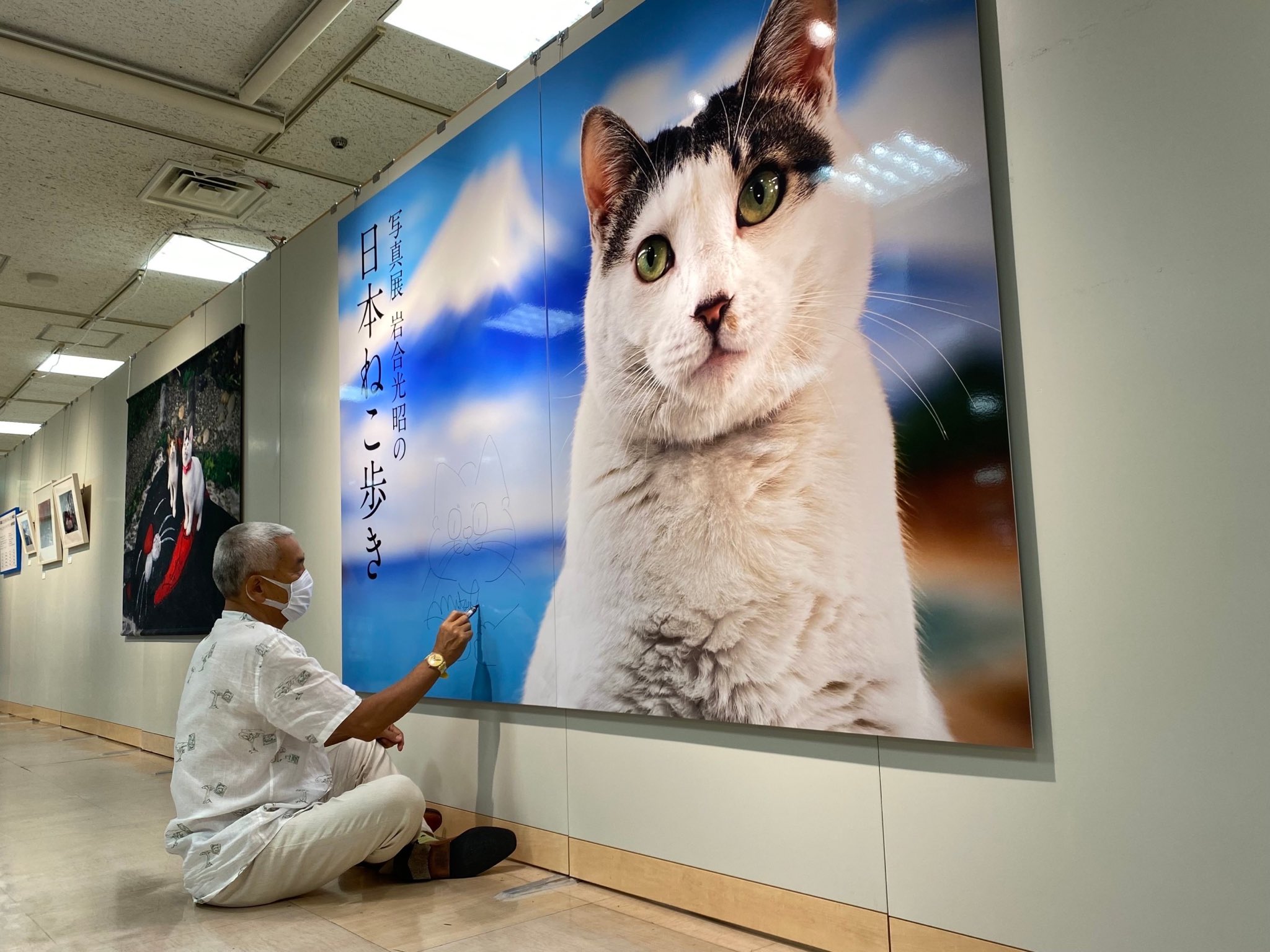 岩合光昭 札幌三越に来ています この2年半で巡った日本のネコたちの写真展 トークショーで胸が熱くなります かわいい絵の審査を頼まれ 選べなくて大変でした みんな上手だよ T Co Xmmsyk1wly Twitter 岩合光昭 札幌三越に来ています この2年半で巡った日本のネコたちの写真展 トークショーで胸が熱くなります かわいい絵の審査を頼まれ 選べなくて大変でした みんな上手だよ T Co Xmmsyk1wly Twitter