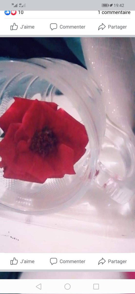 بِوسع لحظة واحدة مغمورة بالحنان والدِفء والضحكات أن تخدر كافة مأسينا😍😍
صباح الناس الطيبه❤️😍