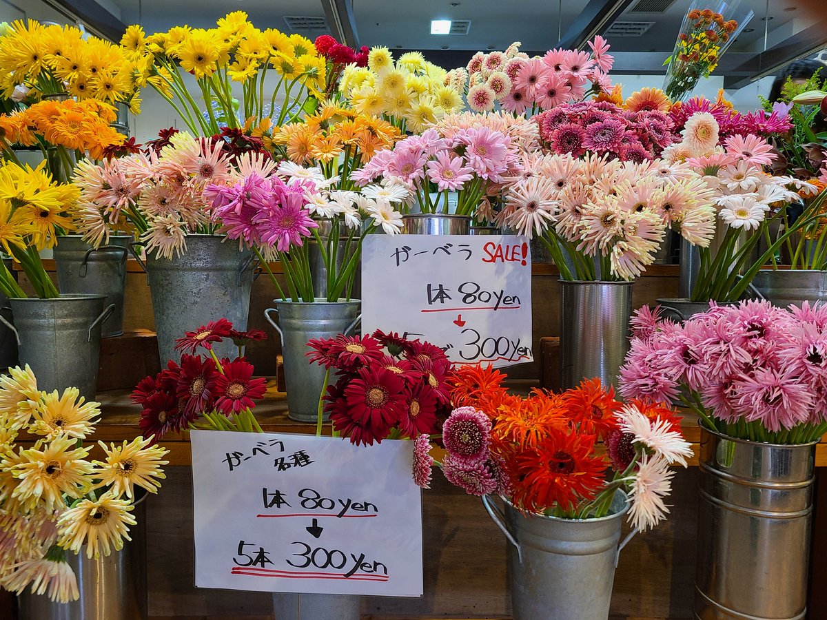 ファン大宮宮原店 花屋 Fan Flower1 Twitter ファン大宮宮原店 花屋 Fan Flower1 Twitter
